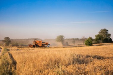 Combine harvester in action on wheat field. Harvesting is the process of gathering a ripe crop from the fields. High quality photo