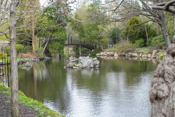 Polonya, Wroclaw - Nisan 2022. Wroclaw 'daki Japon Bahçesi, göletin üzerindeki geleneksel köprü. Yüksek kalite fotoğraf