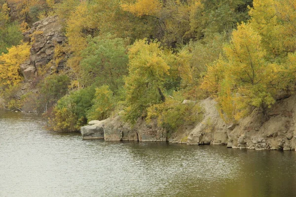 Trees Steep Rocky Shore — Stock fotografie