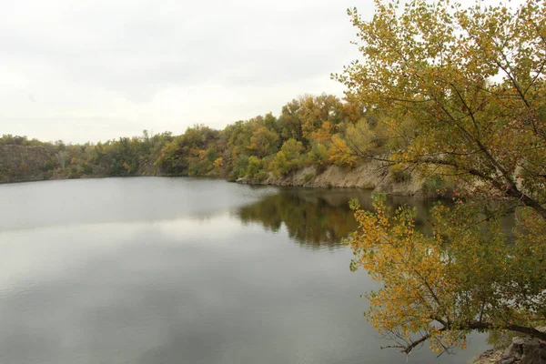 Stromy Podzimním Oblečení Jezera — Stock fotografie