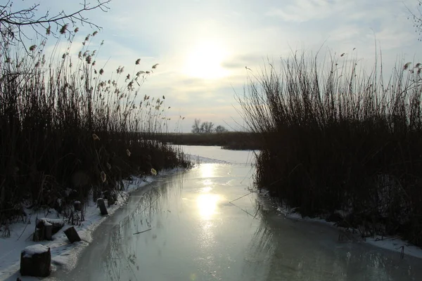 Evening Winter Sun Reflects Ice — Zdjęcie stockowe