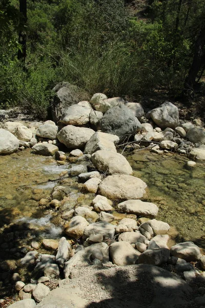 Stone Path River — Stockfoto