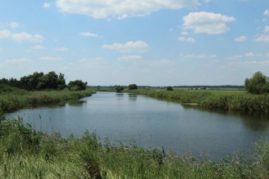Yeşil kıyıların arasında sakin ve sakin bir nehir.