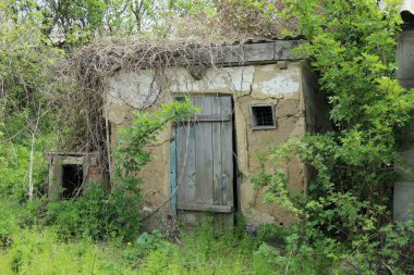 Terk edilmiş kırsal mahzen ve köpek evi