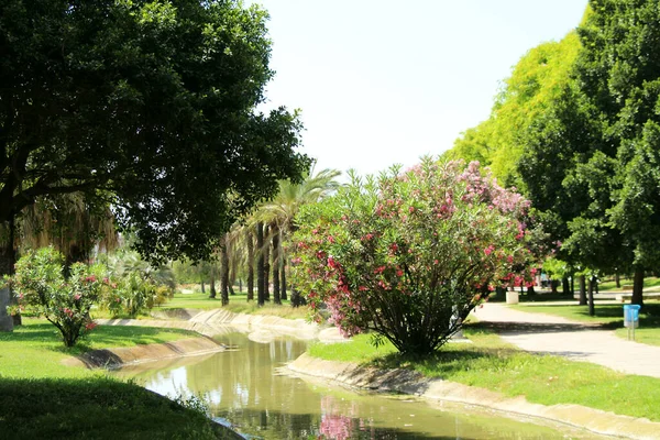 Lagoa Artificial Parque Verão — Fotografia de Stock