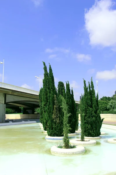 Suyla çevrili ince selviler.