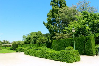 Valencia Kraliyet Parkı 'nın sokakları