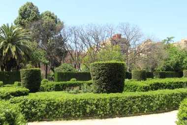 Valencia Kraliyet Bahçesi 'nin peyzaj tasarımı