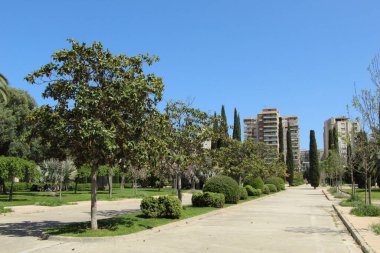 Valencia Kraliyet Bahçesi 'nin peyzaj tasarımı