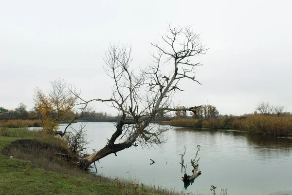 Autumn Bank River — 스톡 사진