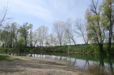 Nehir peyzaj ağaçları ile