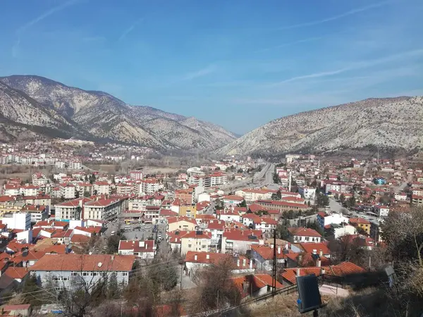 Doğal güzel çiçek manzarası