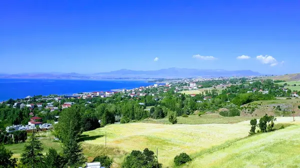 Doğal güzel çiçek manzarası