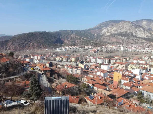 Doğal güzel çiçek manzarası