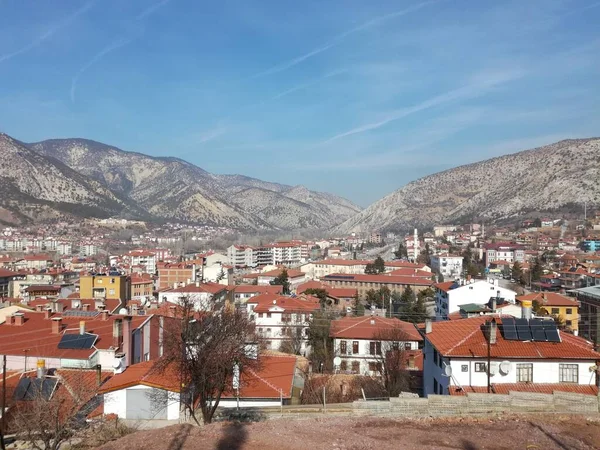 Doğal güzel çiçek manzarası