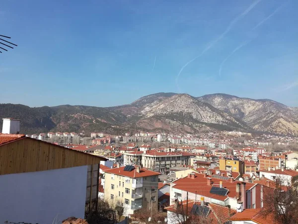 Doğal güzel çiçek manzarası