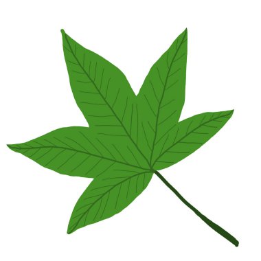 Sonbahar akçaağaç yaprağı çizimi. Bahar akçaağacı. bahar yaprağı