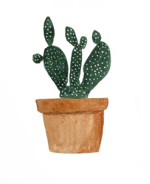 Dikenli armudun suluboya çizimi. Ev bitkisi Opuntia suluboya, rahat ev dekorasyonu. Botanik suluboya.