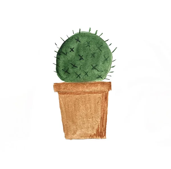 Ilustración Acuarela Cactus Inicio Planta Suculenta Acuarela Dibujo Mano Alzada — Foto de Stock