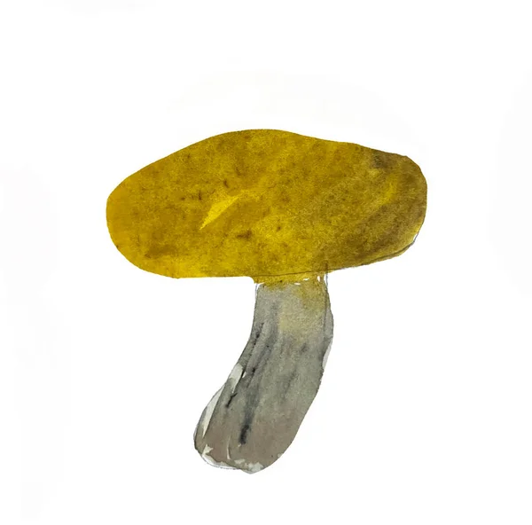 Watercolor Illustration Rssula Claroflava Hand Drawn Watercolor Mushrooms —  Fotos de Stock