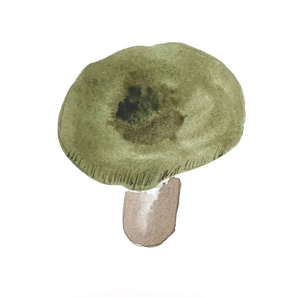 Aquarell Illustration Von Russula Green Handgezeichnet Aquarellpilze — Stockfoto