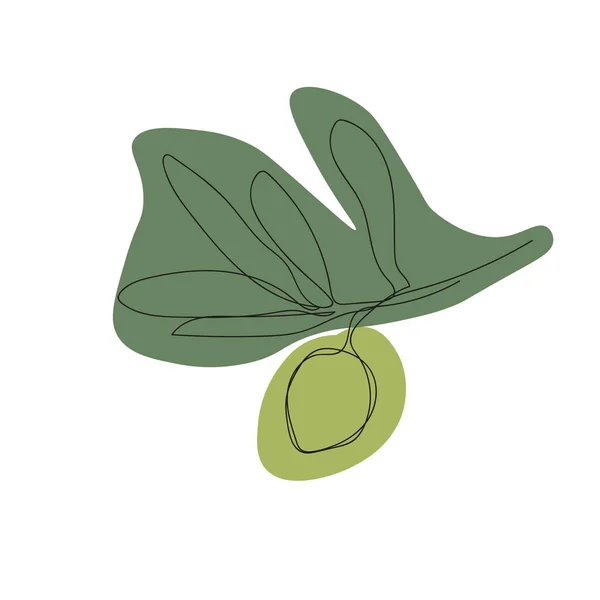 Minimalistic Illustration One Line Olive Branch Green Spots — Wektor stockowy