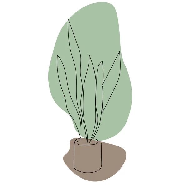 Minimalistic Illustration One Line Houseplant Sansevieria — Vector de stock