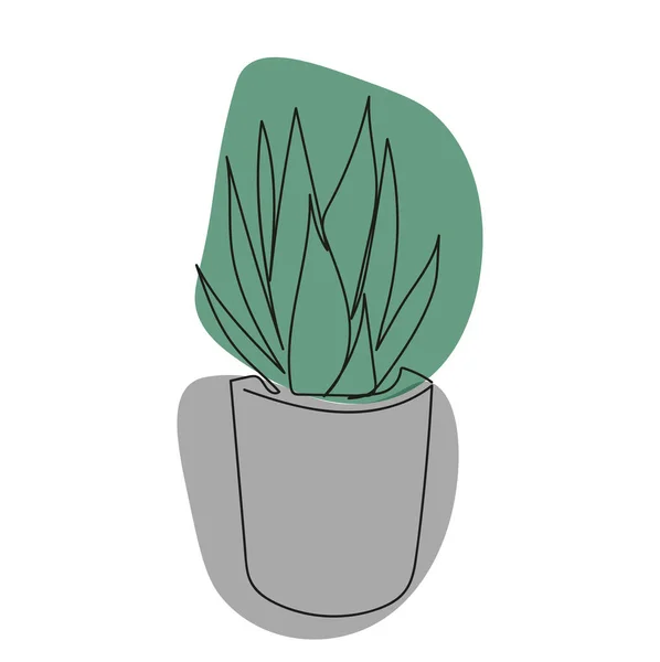 Minimalistic Illustration One Line Houseplant Succulents — Vector de stock