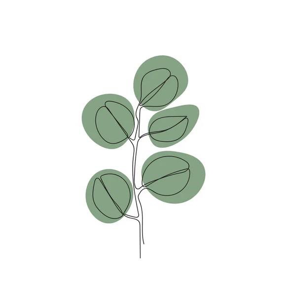 Minimalistic Illustration One Line Sprig Eucalyptus — 스톡 벡터