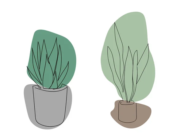 Vector Illustration Set Minimalistic Indoor Plants Line Art Home Plant — Stockový vektor