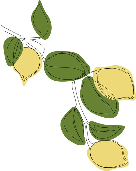 Vector Illustration Lemon Branch Continuous Single Line Drawing Minimalistic Lemon — Wektor stockowy