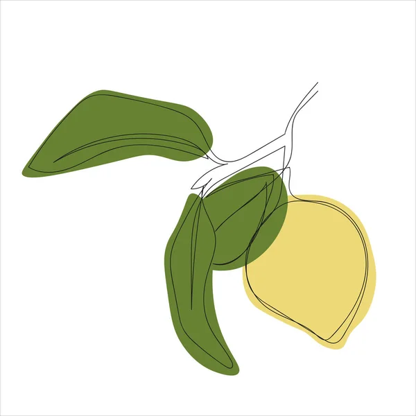 Minimalistic Lemon Branch Line Art — Stockvektor