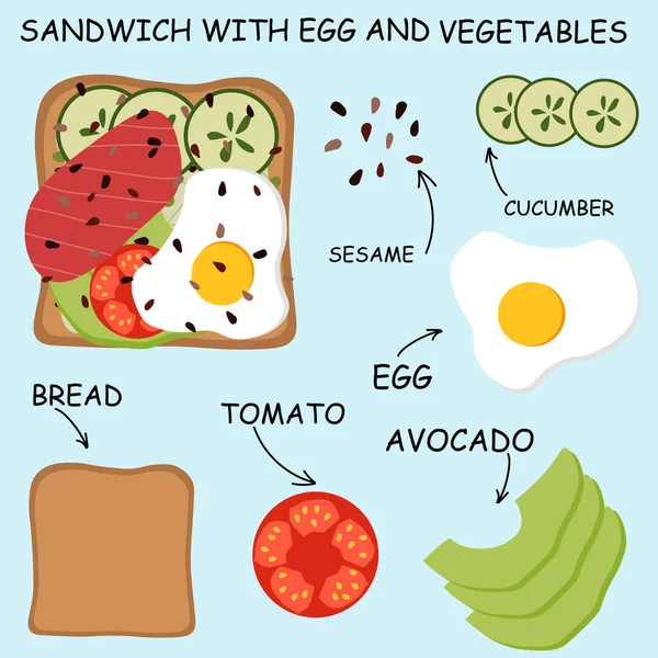 Ilustração Vetorial Torradas Com Ovo Legumes Composição Ilustrada Torradas Sanduíche — Vetor de Stock