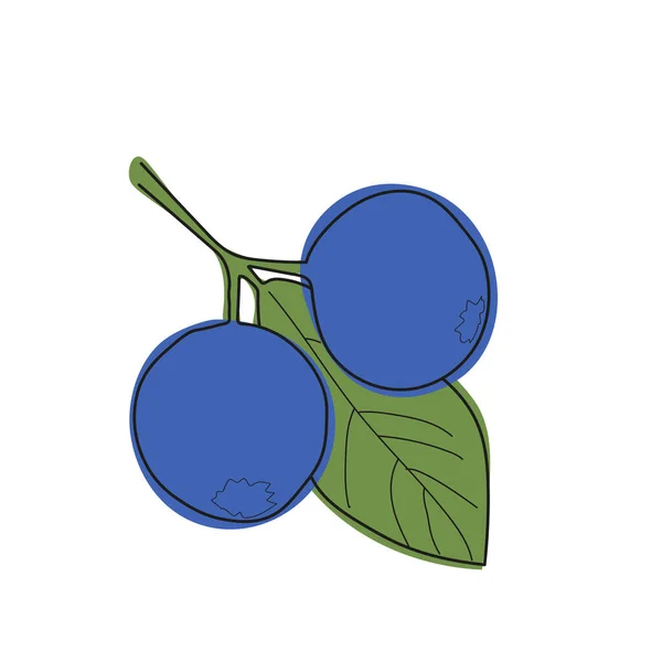 블루베리가지는 평평하고 직선의 스타일을 최소화 잎사귀와 열매가 블루베리를 벡터로 퍼내는 — 스톡 벡터