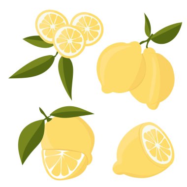 Limonlu olsun. Citrus dilimlere, dilimlere, dairelere ayrılır. Ağaç dalında olgun taze limonlar. Vektör düz resimleme