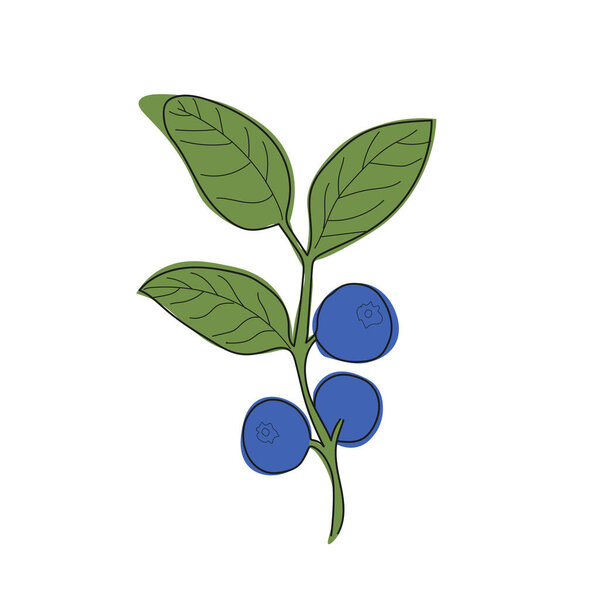 Blueberry branch minimalistic flat and line style. Vector sprig of blueberries with leaves and berries