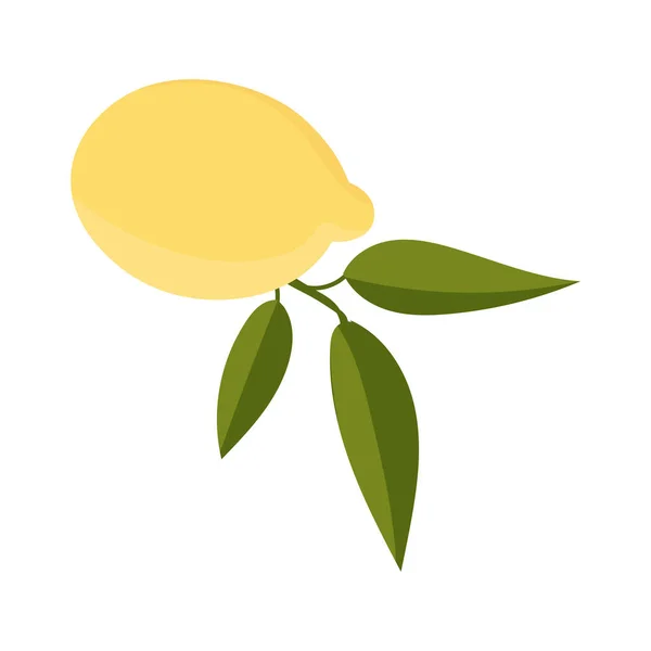 Lemon Leaves Minimalism Sour Fresh Lemon Fruit Vector Illustration — ストックベクタ