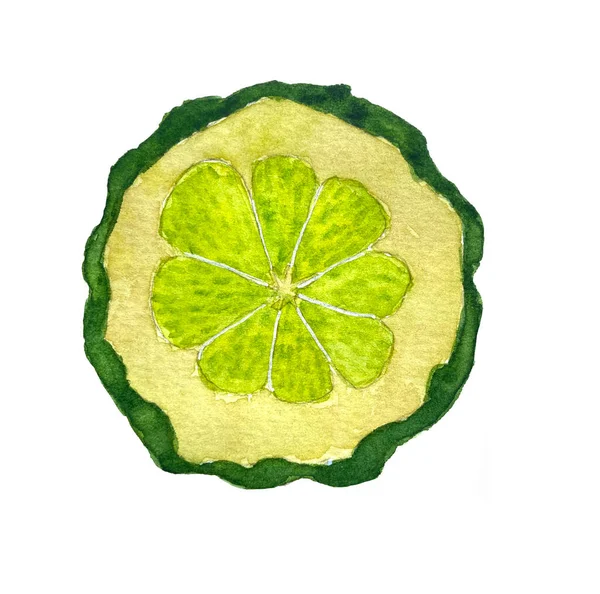Watercolor Illustration Bergamot Fruit Slice Bergamt Suitable Design Packaging Stickers — 스톡 사진