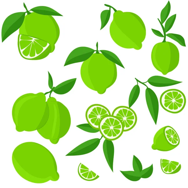 Set Limes Cutting Citrus Fruits Slices Slices Circles Ripe Fresh — ストックベクタ