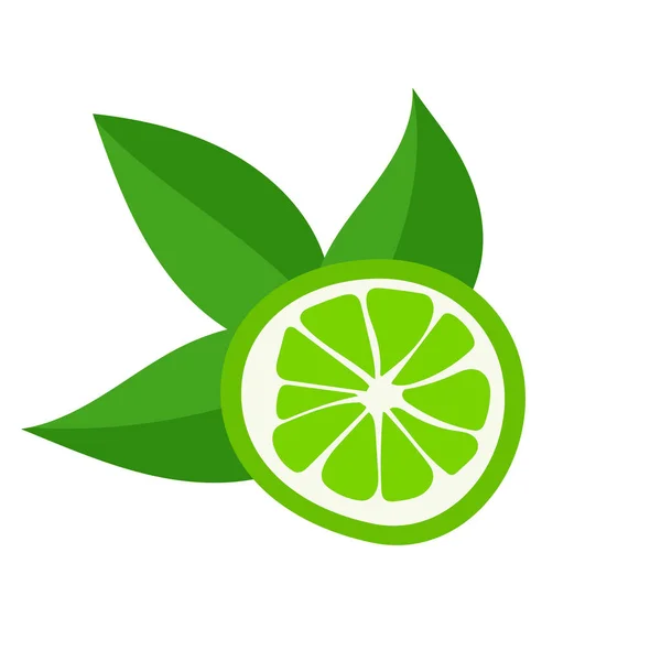 Vector Botanical Illustration Lime Fruit Green Leaves Isolated White Background — Image vectorielle