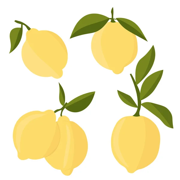 Set Lemons Citrus Cutting Slices Slices Circles Ripe Fresh Lemons — ストックベクタ