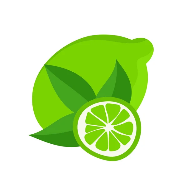 Διάνυσμα Βοτανική Απεικόνιση Του Λεμονόχορτου Πράσινα Φύλλα Που Απομονώνονται Λευκό — Διανυσματικό Αρχείο