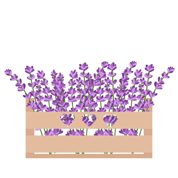 Lavender Flowers Wooden Flower Box Vector Illustration Isolated White Background — Stock Vector