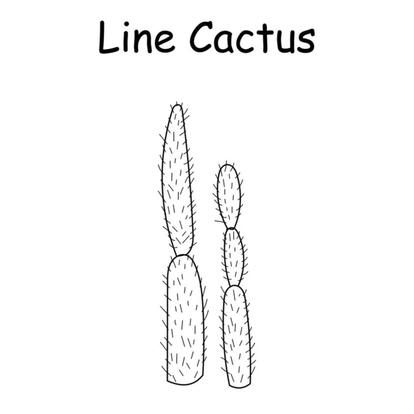 Ilustracja Wektorowego Doodle Kaktusa Ręcznie Rysowany Kaktus Doodle Line Meksykański — Wektor stockowy