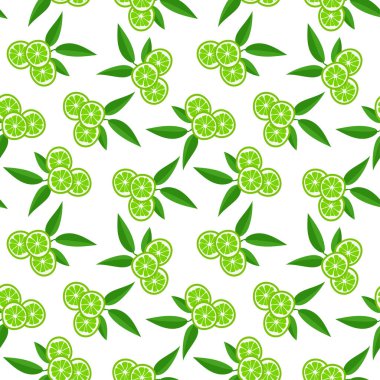 Lime with green leaves, citrus slice on white background. Seamless pattern. Vector illustration. tropical pattern