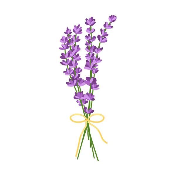 Bouquet Lavender Flowers Vector Illustration Lavender Flowers Isolated White Background — Stockvector