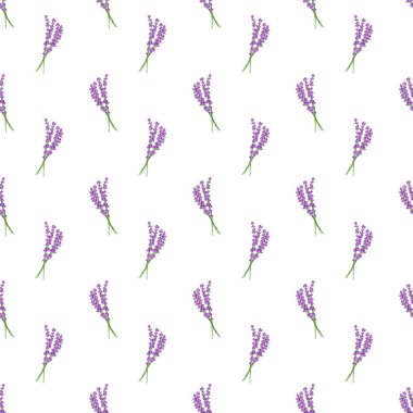 Beyaz arka planda kusursuz desenli lavanta çiçekleri deseni. Çiçek vektör deseni..