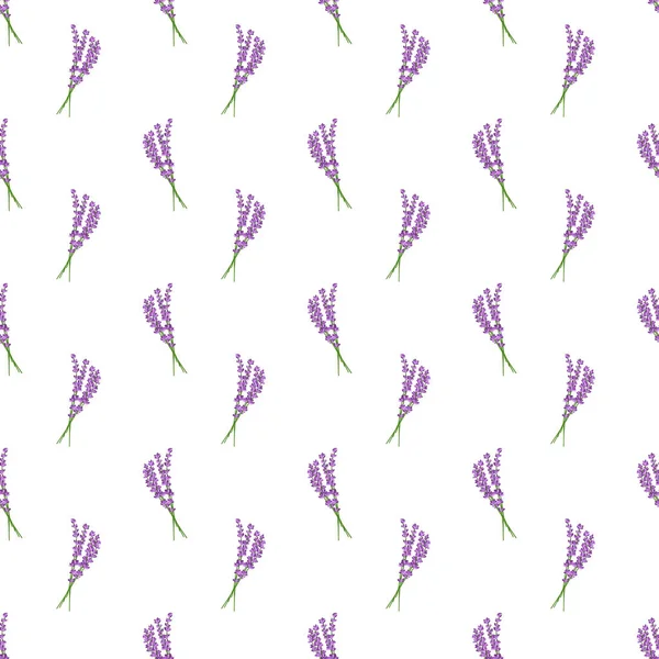 Beyaz arka planda kusursuz desenli lavanta çiçekleri deseni. Çiçek vektör deseni..