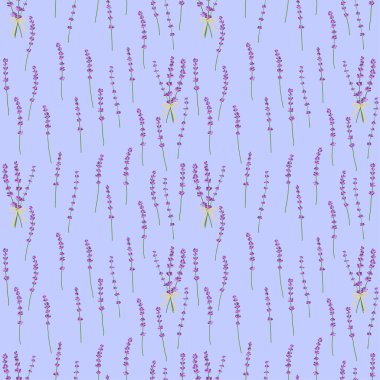 Seamless pattern lavender flowers pattern on a blue background.Floral vector pattern.