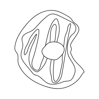 Donutlar. Çocuklar ve yetişkinler için boyama kitabı. Taslak vektör çizimi. Duvar kağıdı tasarımı, ambalaj